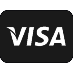 We accept Visa cards